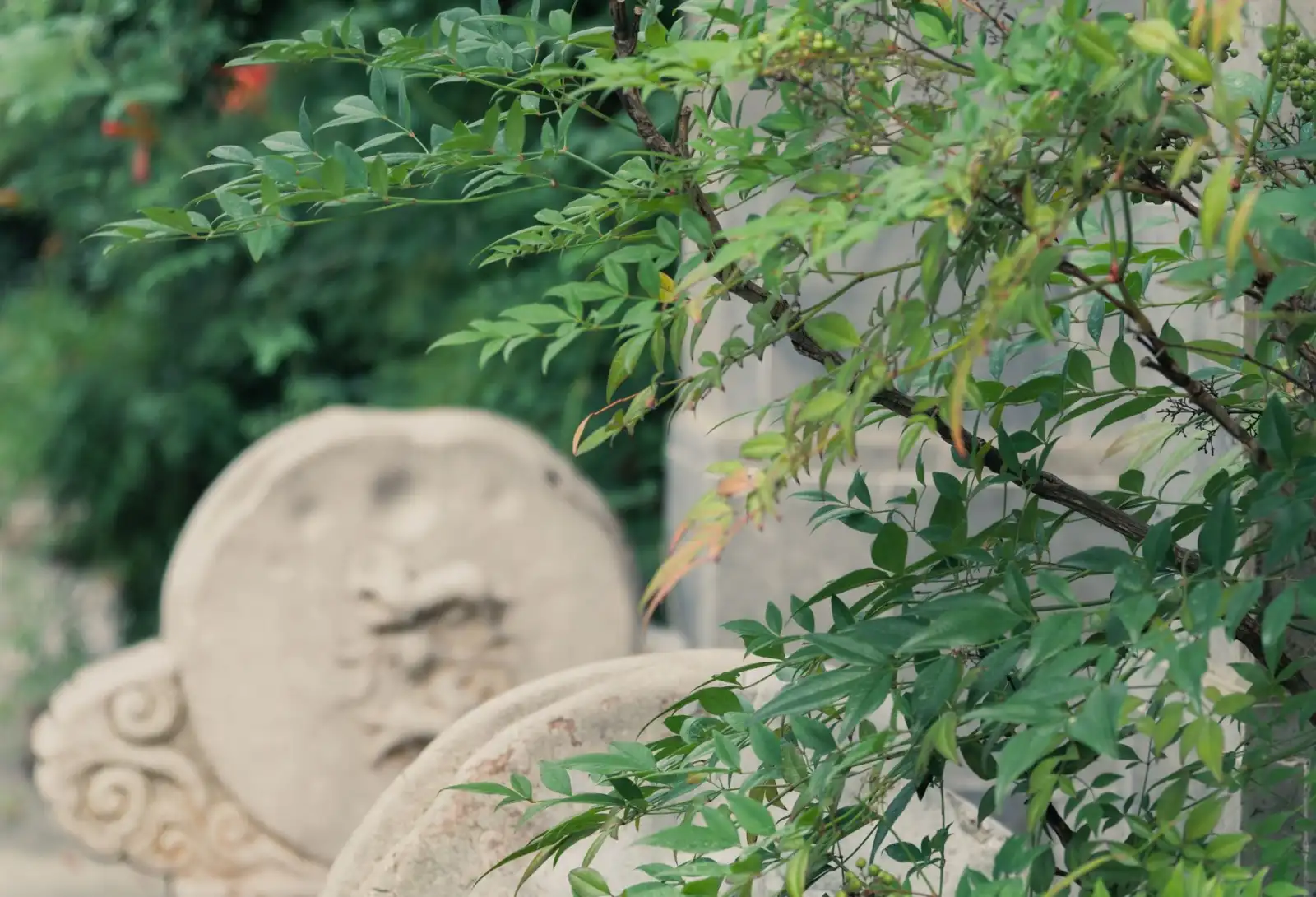 华中地区日用百货行业供应链管理优化趋势分析