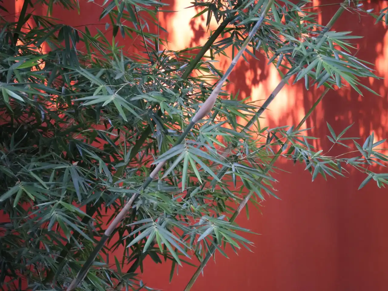 商超个护用品采购新趋势：美妆工具与清洁用品供应链优化分析